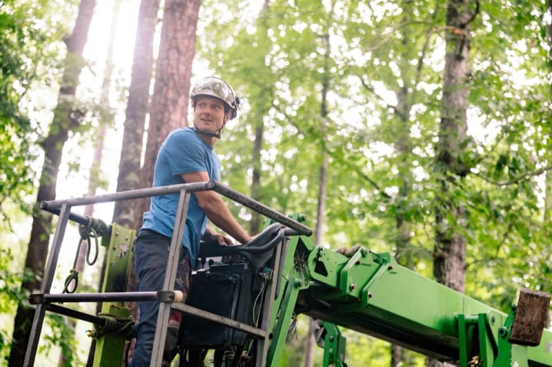 Emergency tree service crew on the job
