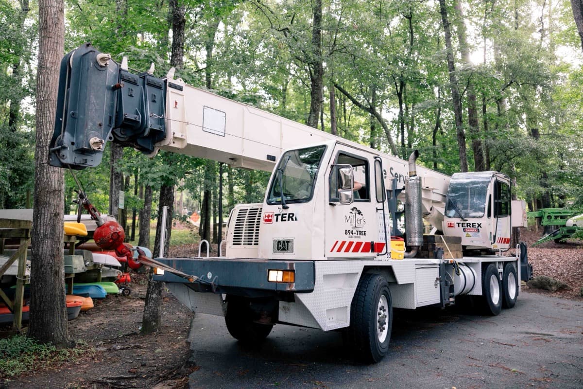 Storm damage cleanup